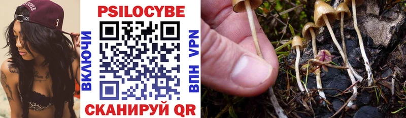 Галлюциногенные грибы Psilocybine cubensis  Магас 