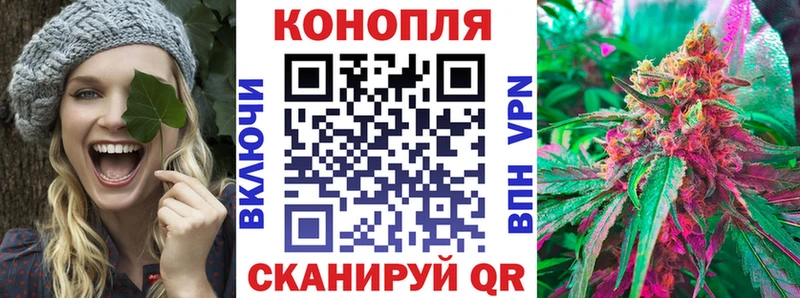 Канабис гибрид  Магас 